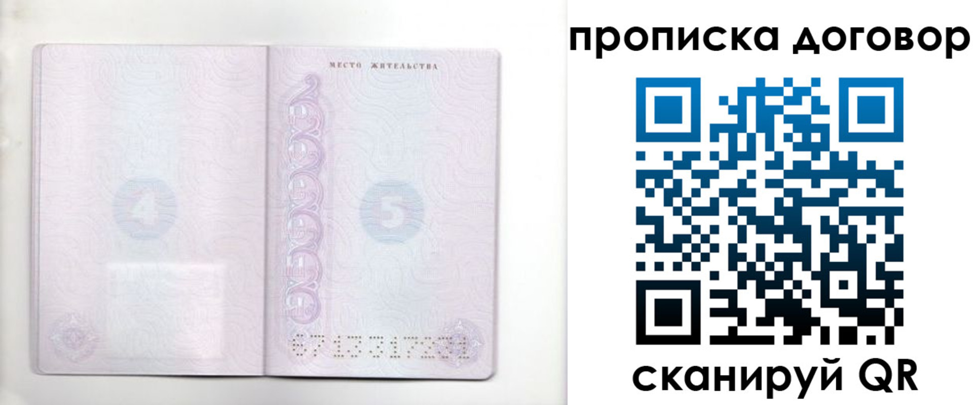 купить прописку в Владимирской области
